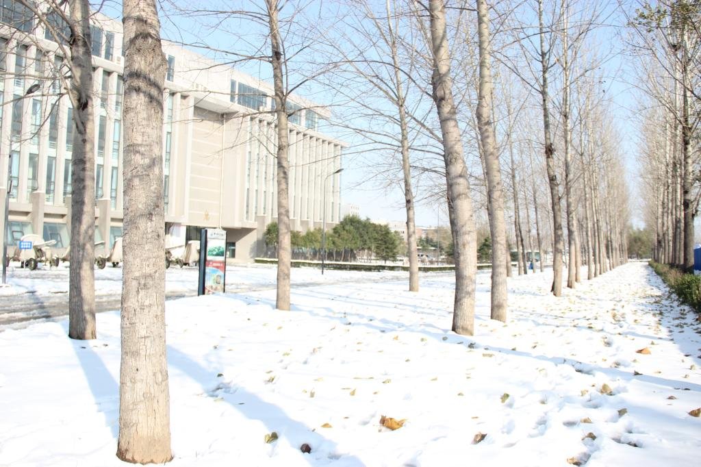 郑州信息工程职业学院中专部 · 计算机网络技术 专业介绍与报名信息