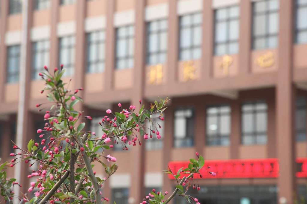 开封职业学院（中专部） · 计算机应用 专业介绍与报名信息