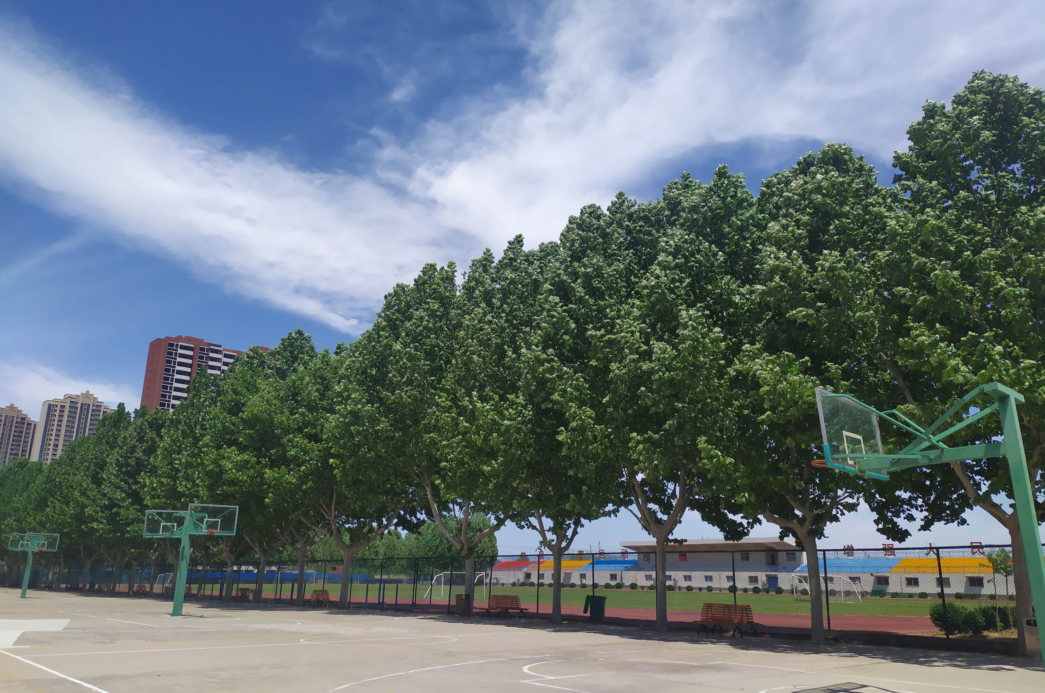 郑州信息工程职业学院中专部校园实景
